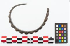 Foto von Bronzeperlarmreif (NHMW-PRAE-025399)